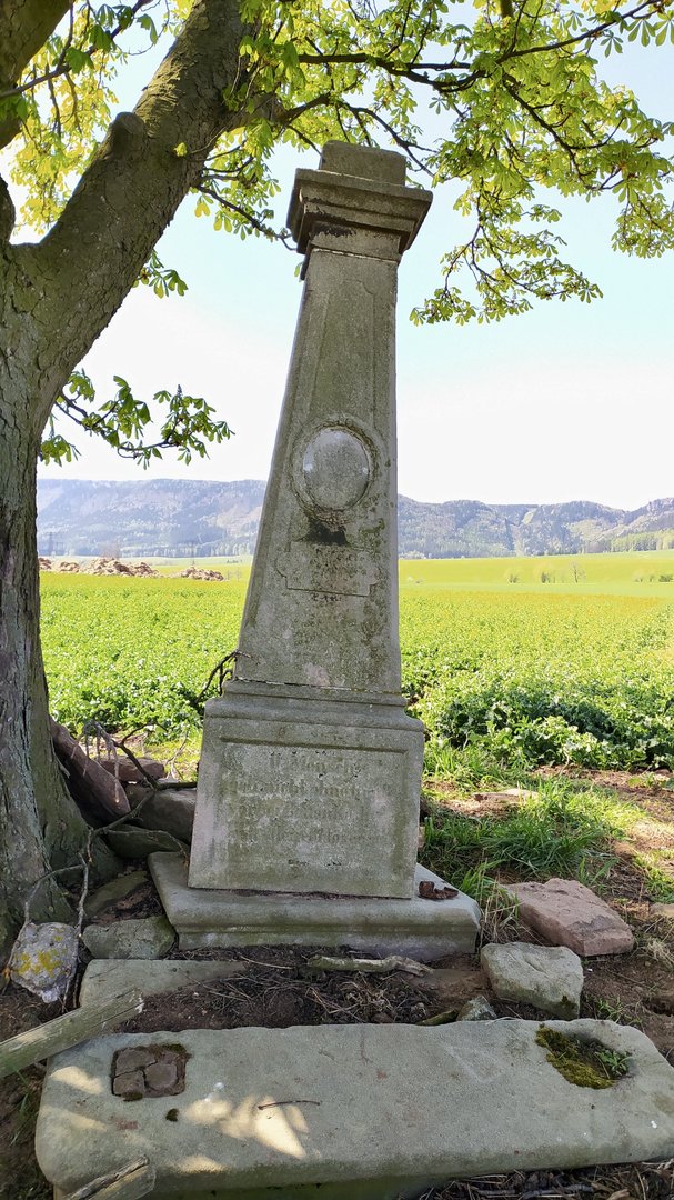 Zapomenutý kříž v polích u Křinic